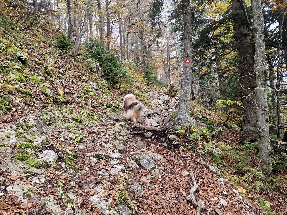 Ratitovec, 12. 10. 2025