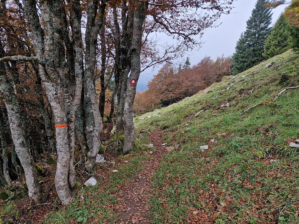 Ratitovec, 12. 10. 2025