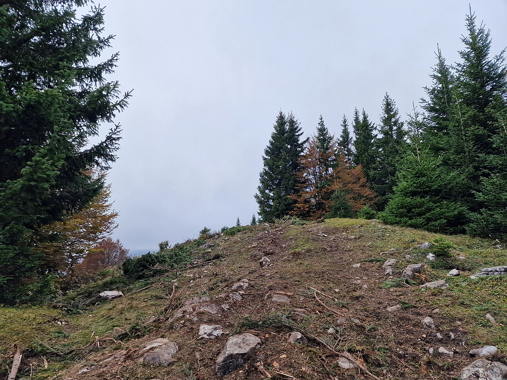 Ratitovec, 12. 10. 2025