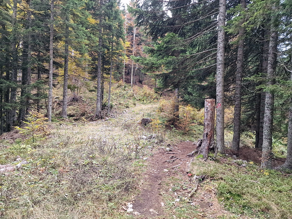 Ratitovec, 12. 10. 2025