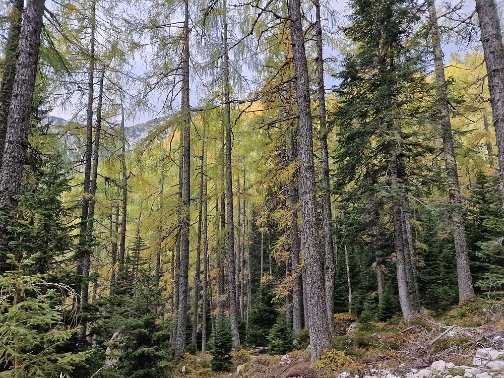 Križevnik, 18. 10. 2025