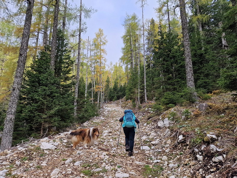 Križevnik, 18. 10. 2025