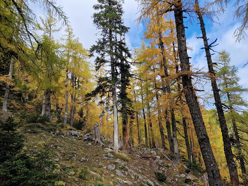 Križevnik, 18. 10. 2025