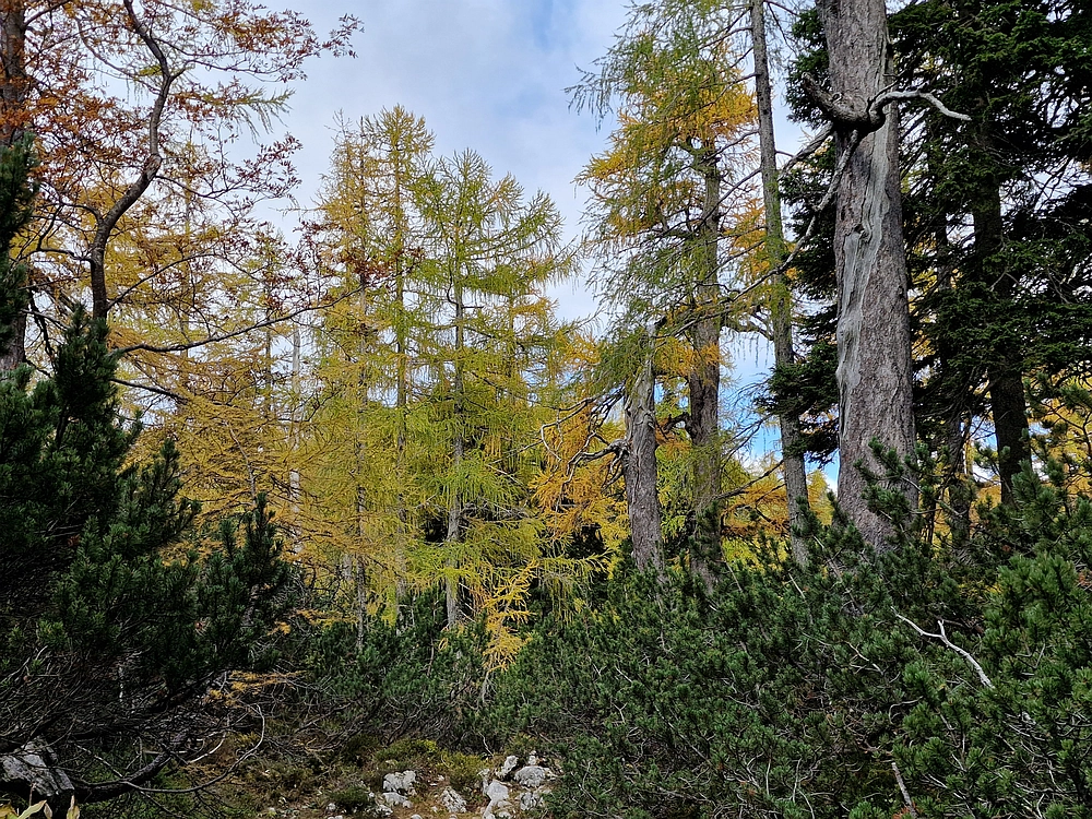 Križevnik, 18. 10. 2025