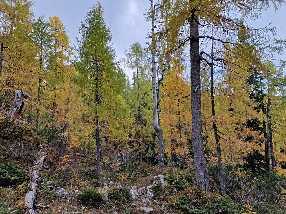 Križevnik, 18. 10. 2025