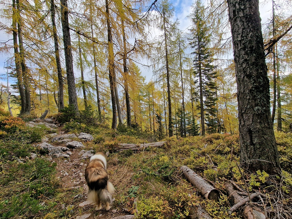 Križevnik, 18. 10. 2025
