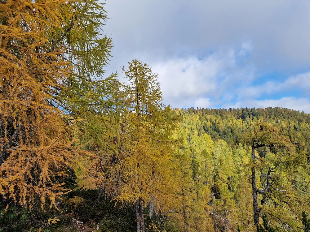 Križevnik, 18. 10. 2025