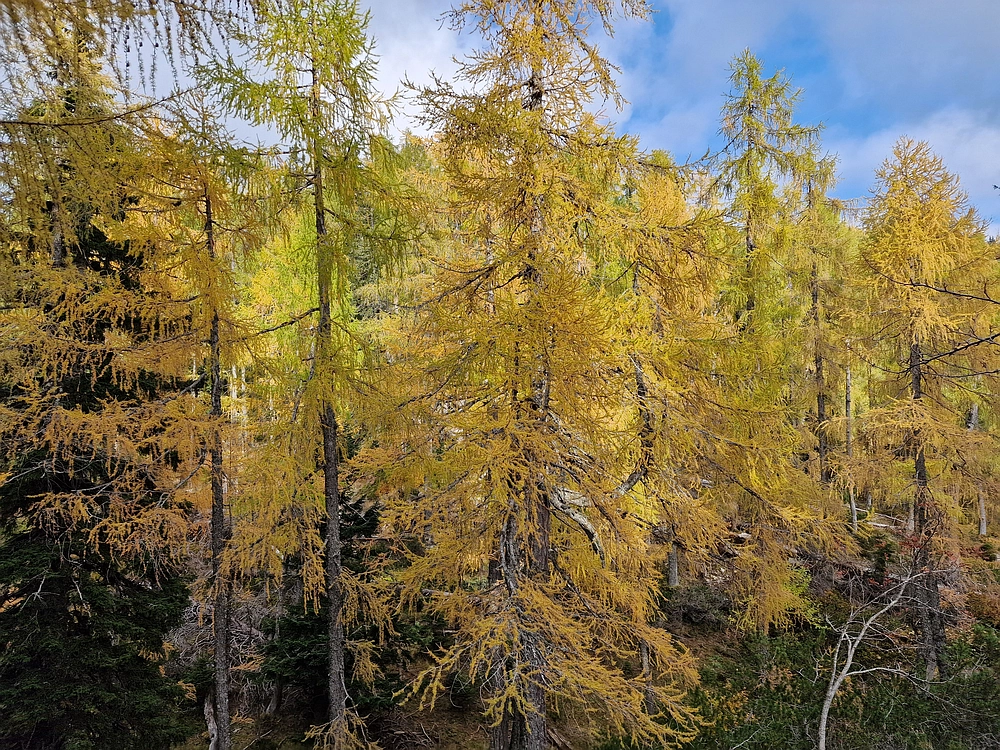 Križevnik, 18. 10. 2025