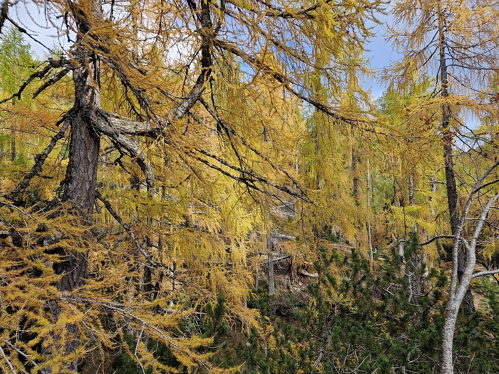 Križevnik, 18. 10. 2025