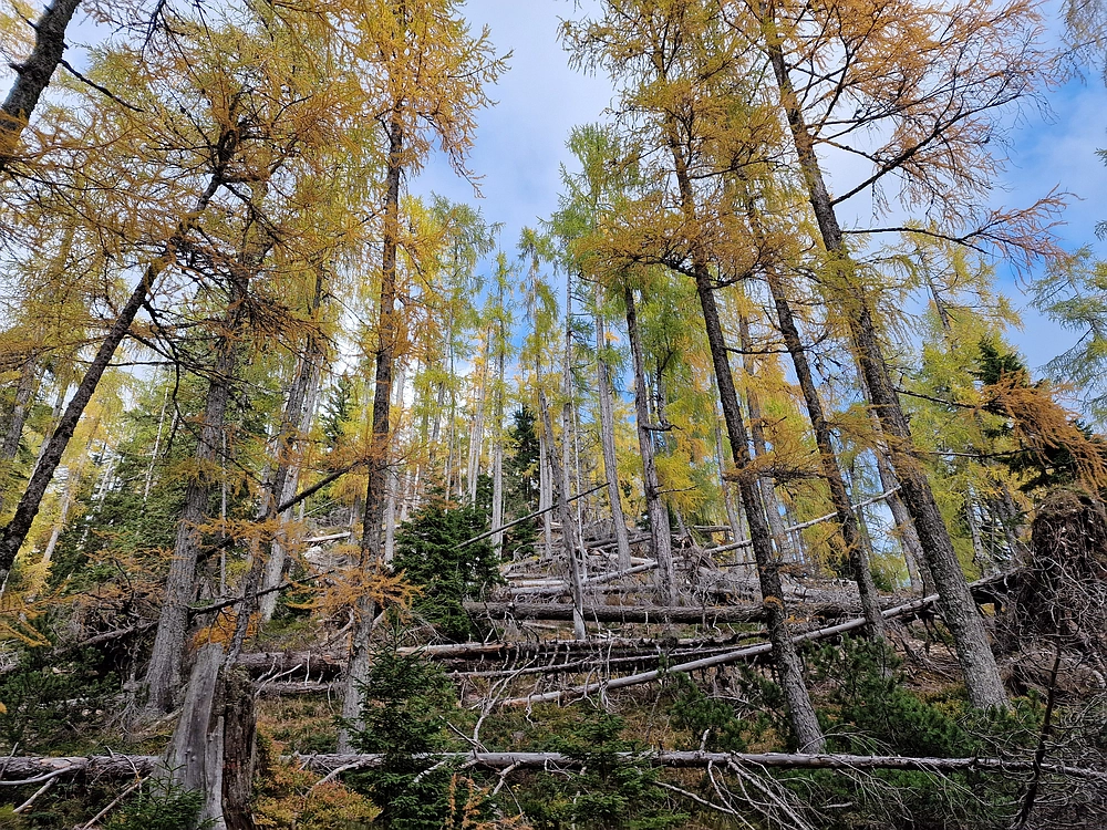 Križevnik, 18. 10. 2025