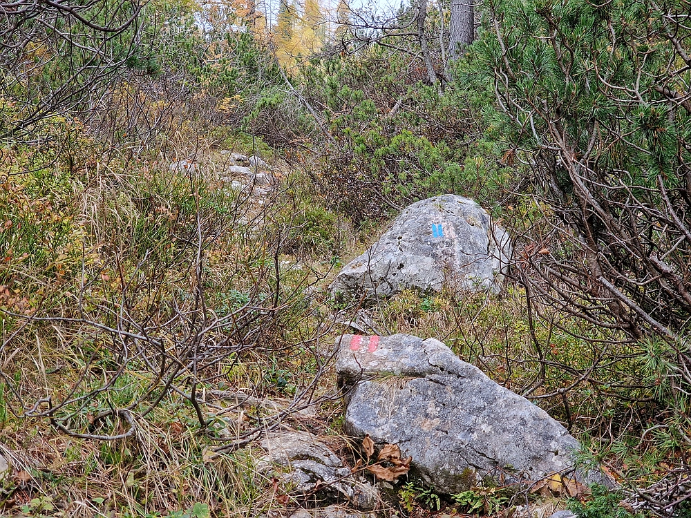 Križevnik, 18. 10. 2025