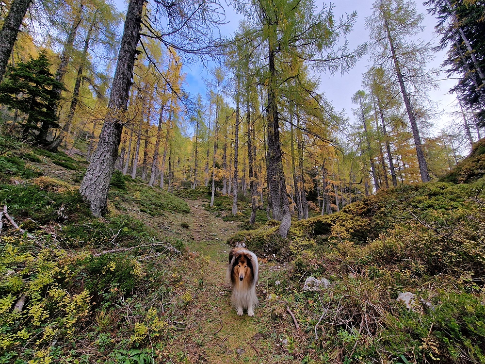 Križevnik, 18. 10. 2025