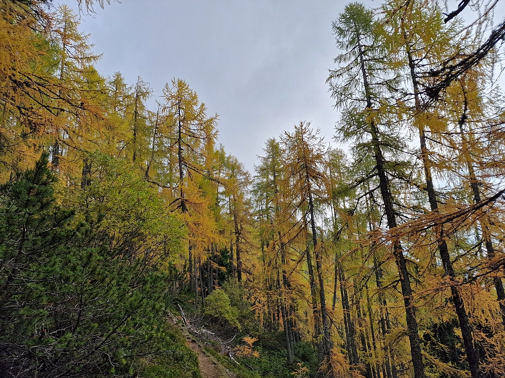 Križevnik, 18. 10. 2025