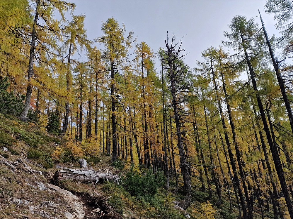 Križevnik, 18. 10. 2025