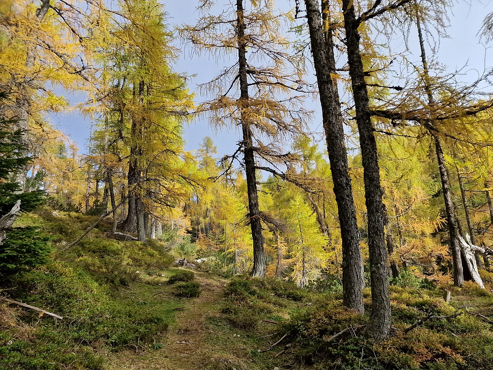 Križevnik, 18. 10. 2025