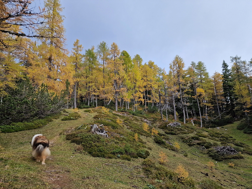 Križevnik, 18. 10. 2025