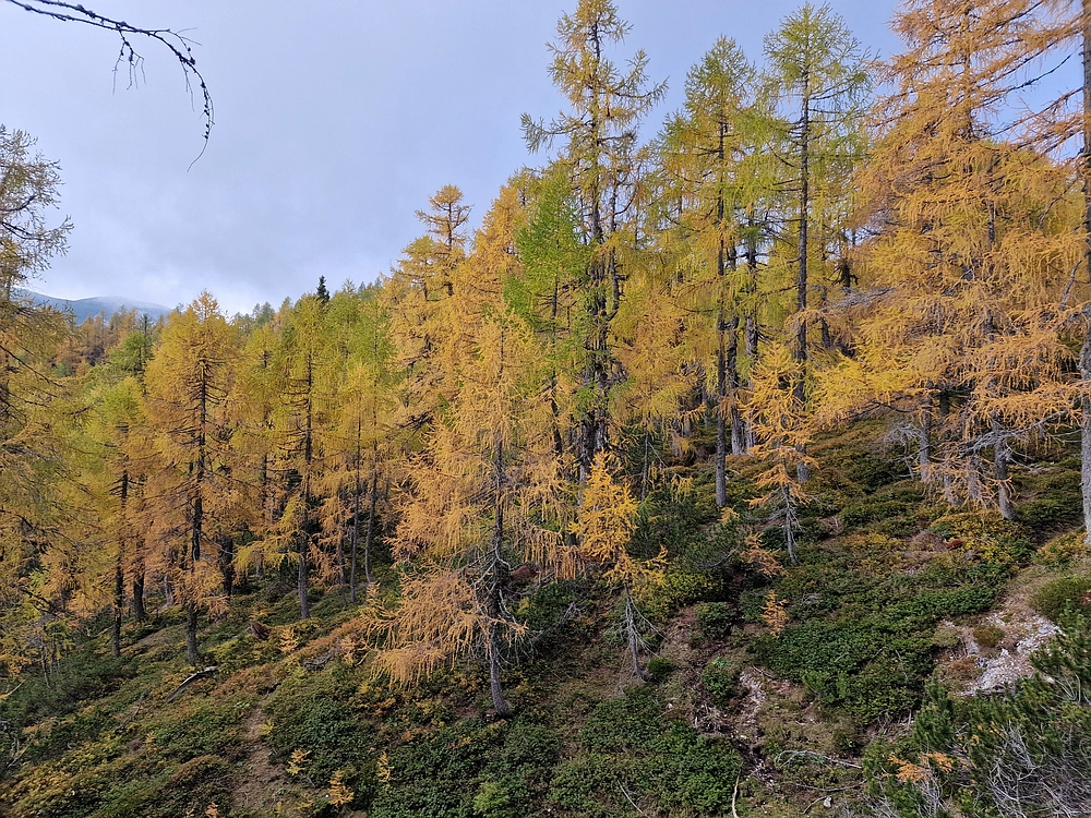 Križevnik, 18. 10. 2025