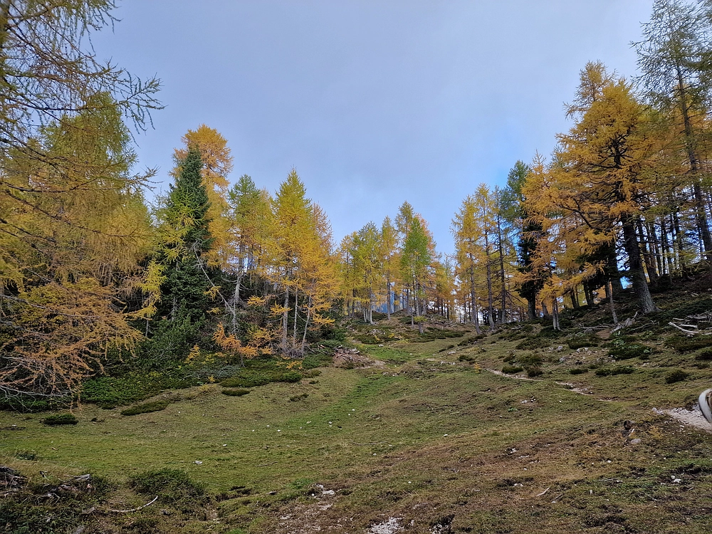 Križevnik, 18. 10. 2025