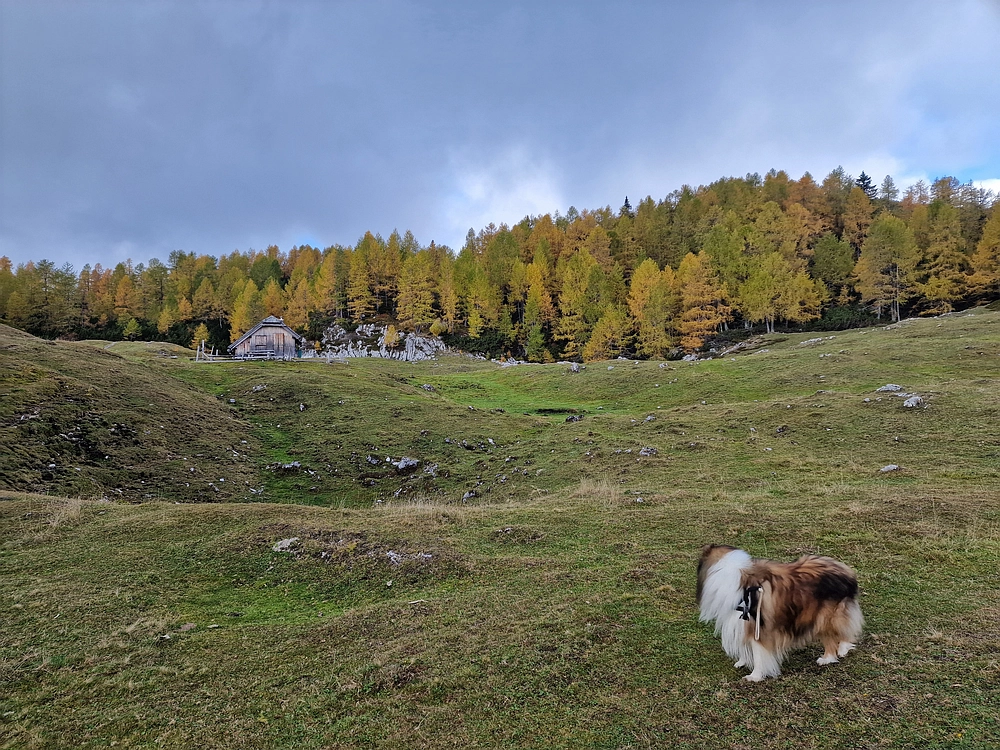 Križevnik, 18. 10. 2025