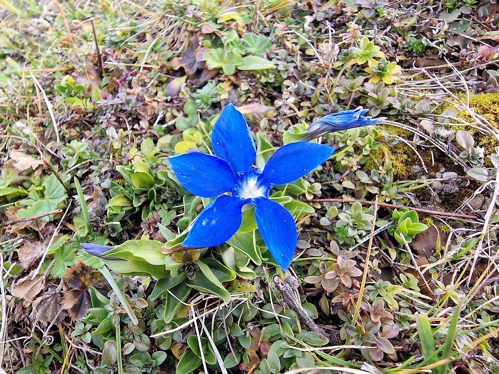 Križevnik, 18. 10. 2025