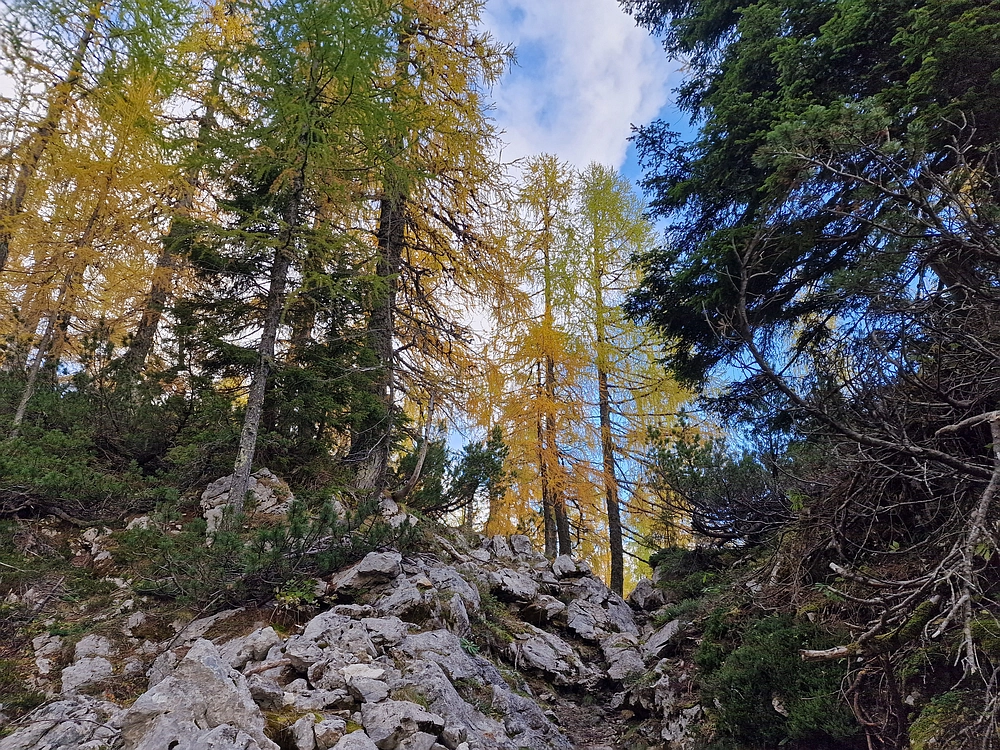 Križevnik, 18. 10. 2025