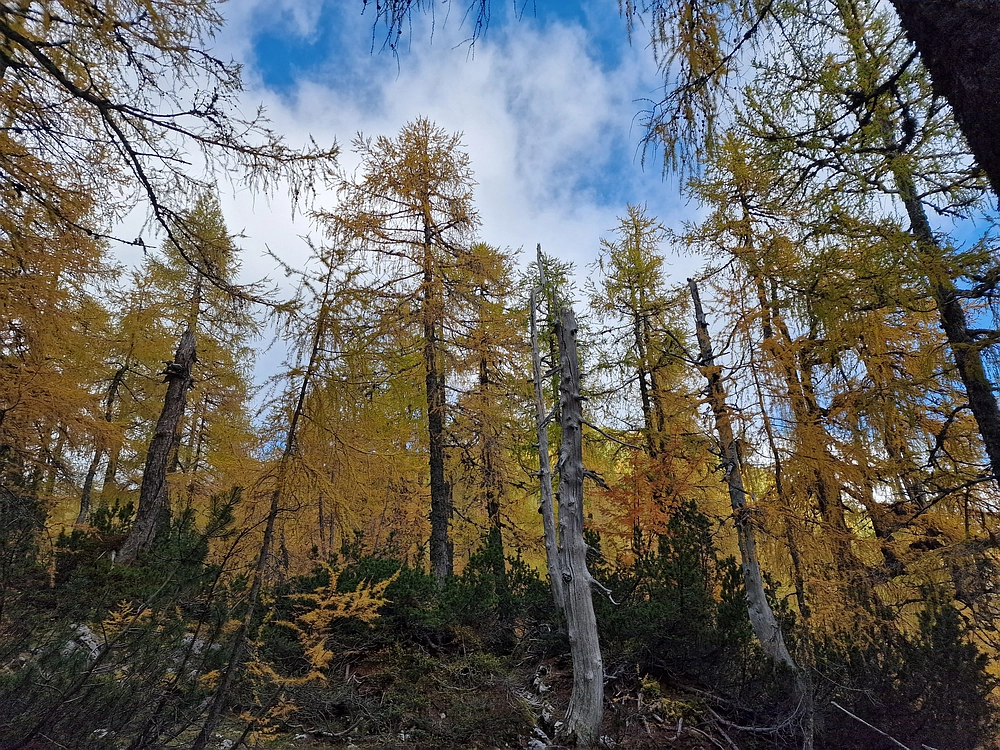 Križevnik, 18. 10. 2025