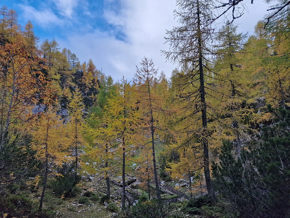 Križevnik, 18. 10. 2025