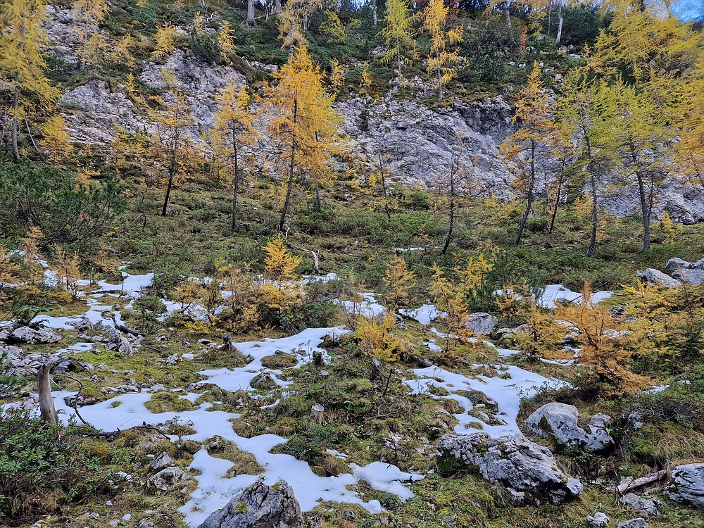 Križevnik, 18. 10. 2025