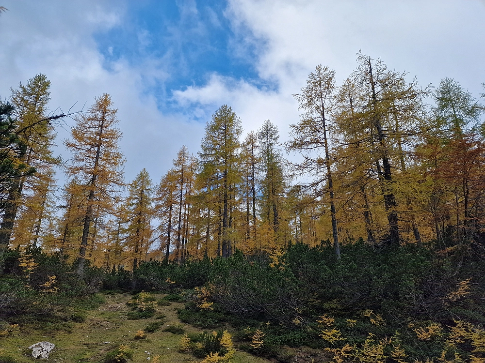 Križevnik, 18. 10. 2025