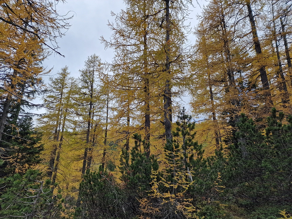 Križevnik, 18. 10. 2025