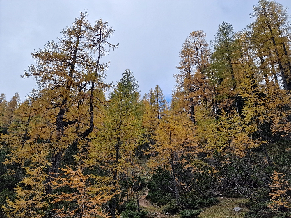 Križevnik, 18. 10. 2025