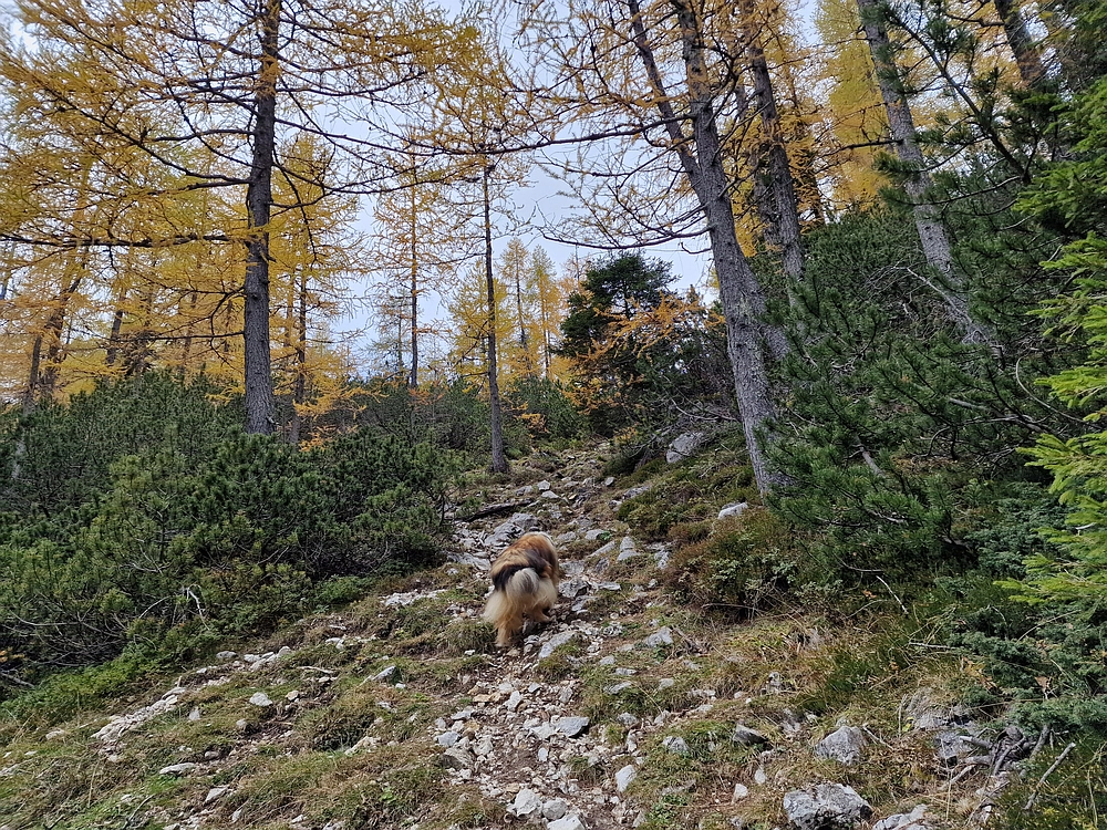 Križevnik, 18. 10. 2025