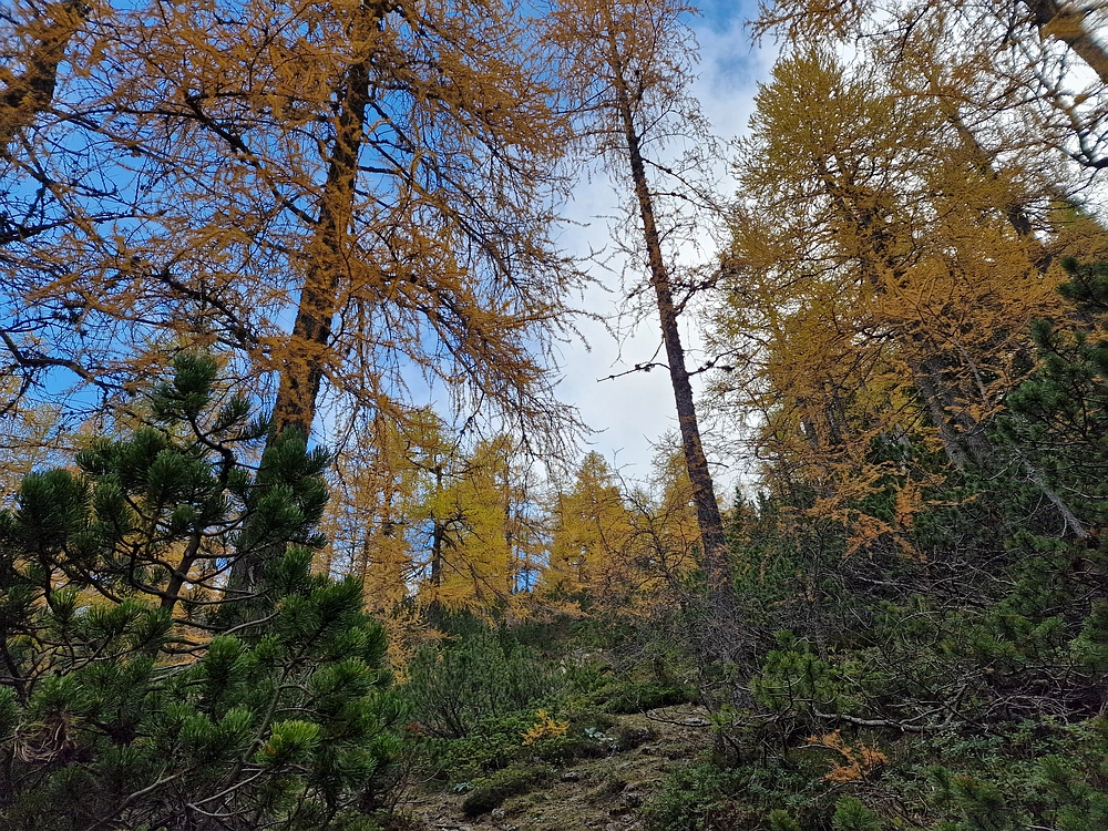 Križevnik, 18. 10. 2025