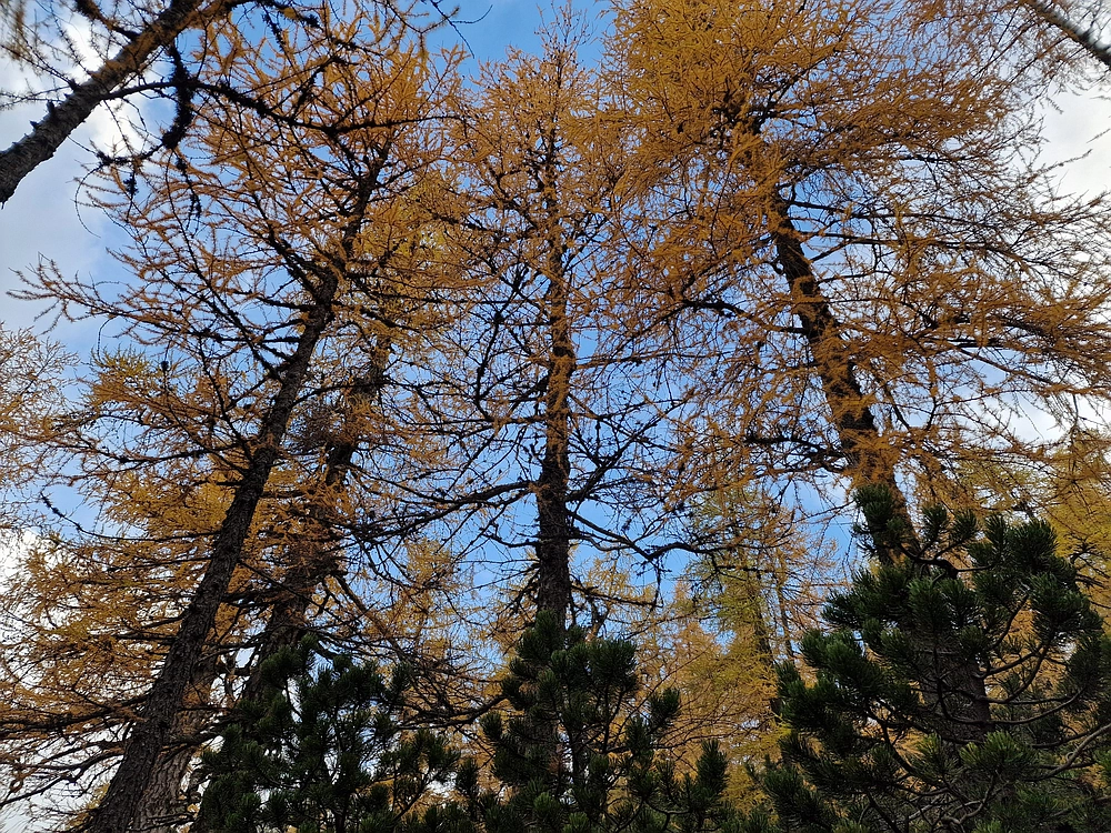 Križevnik, 18. 10. 2025