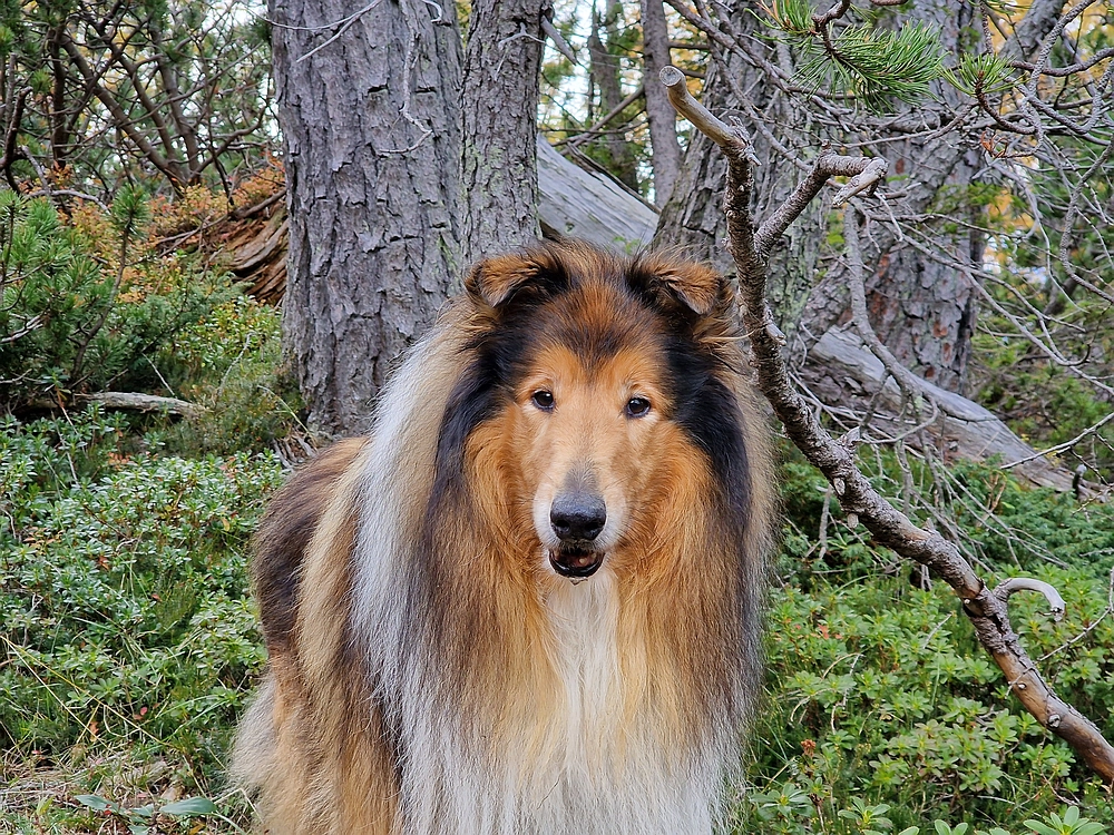 Križevnik, 18. 10. 2025