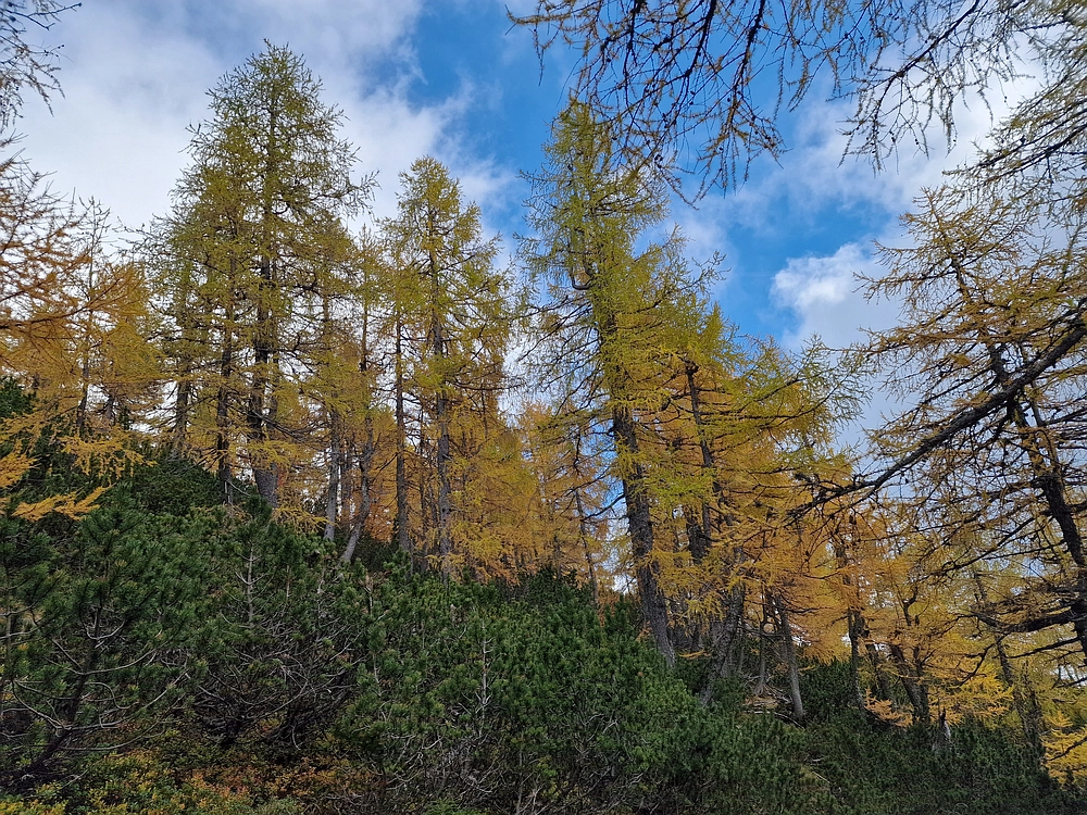 Križevnik, 18. 10. 2025