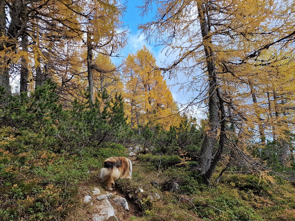 Križevnik, 18. 10. 2025