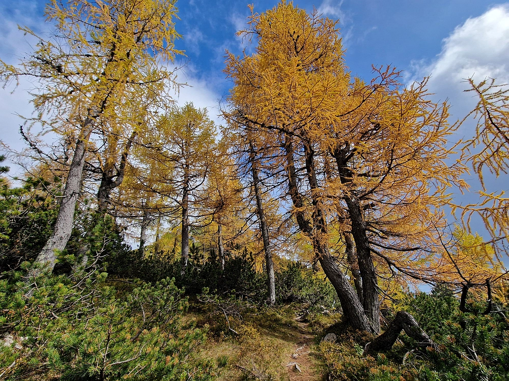 Križevnik, 18. 10. 2025