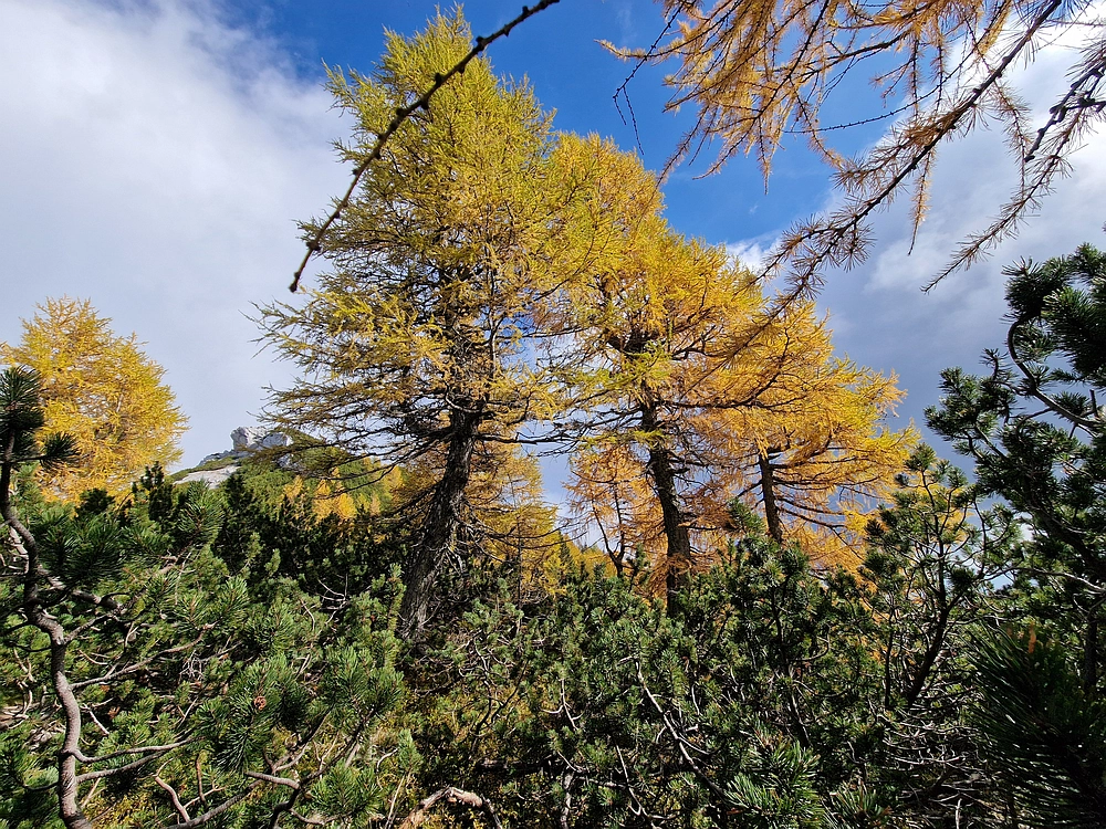 Križevnik, 18. 10. 2025