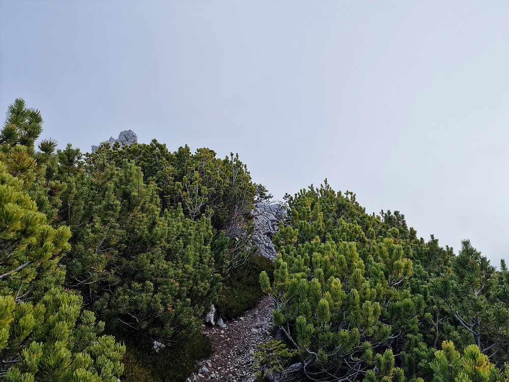 Križevnik, 18. 10. 2025