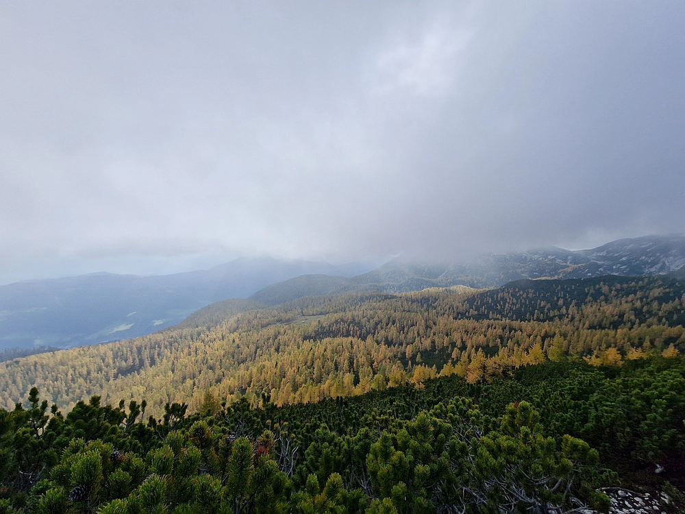 Križevnik, 18. 10. 2025