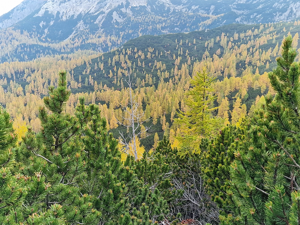 Križevnik, 18. 10. 2025