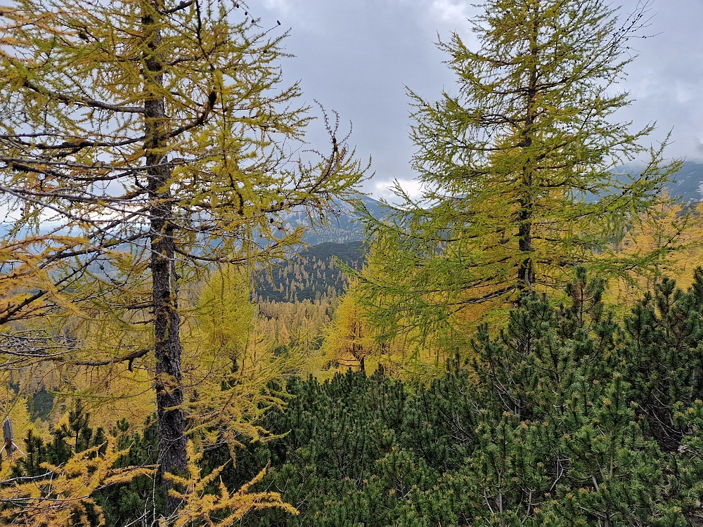 Križevnik, 18. 10. 2025