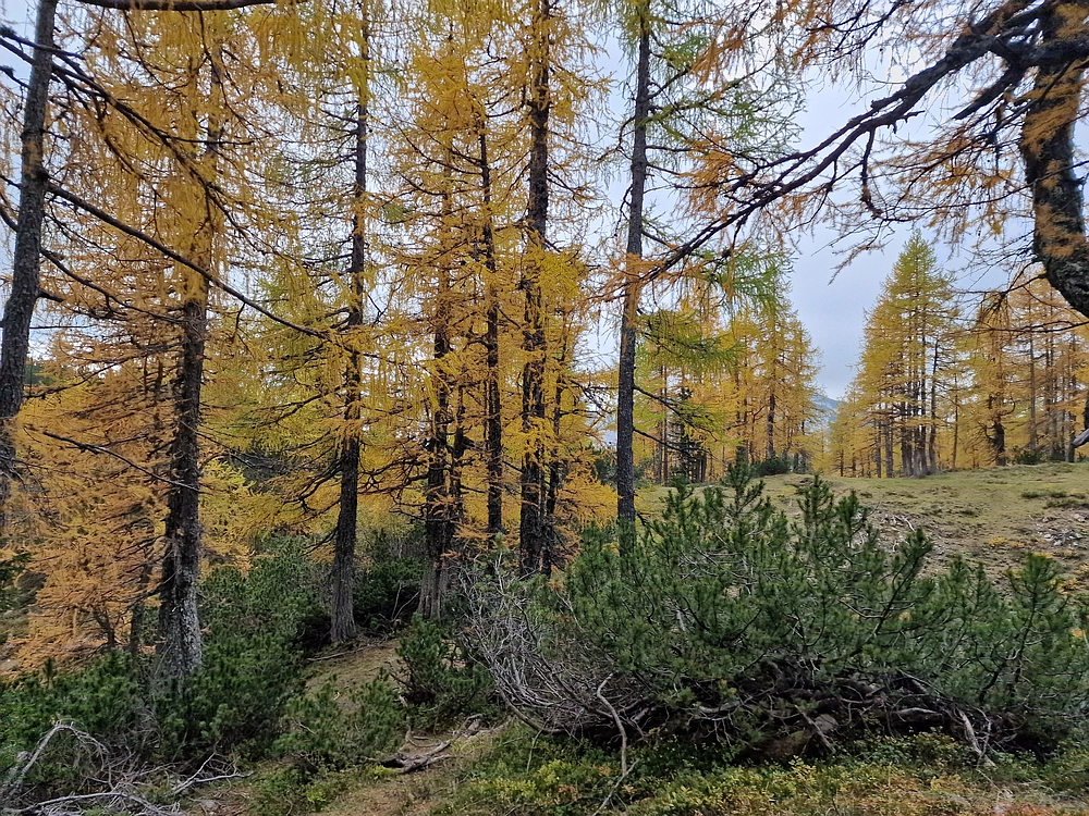 Križevnik, 18. 10. 2025