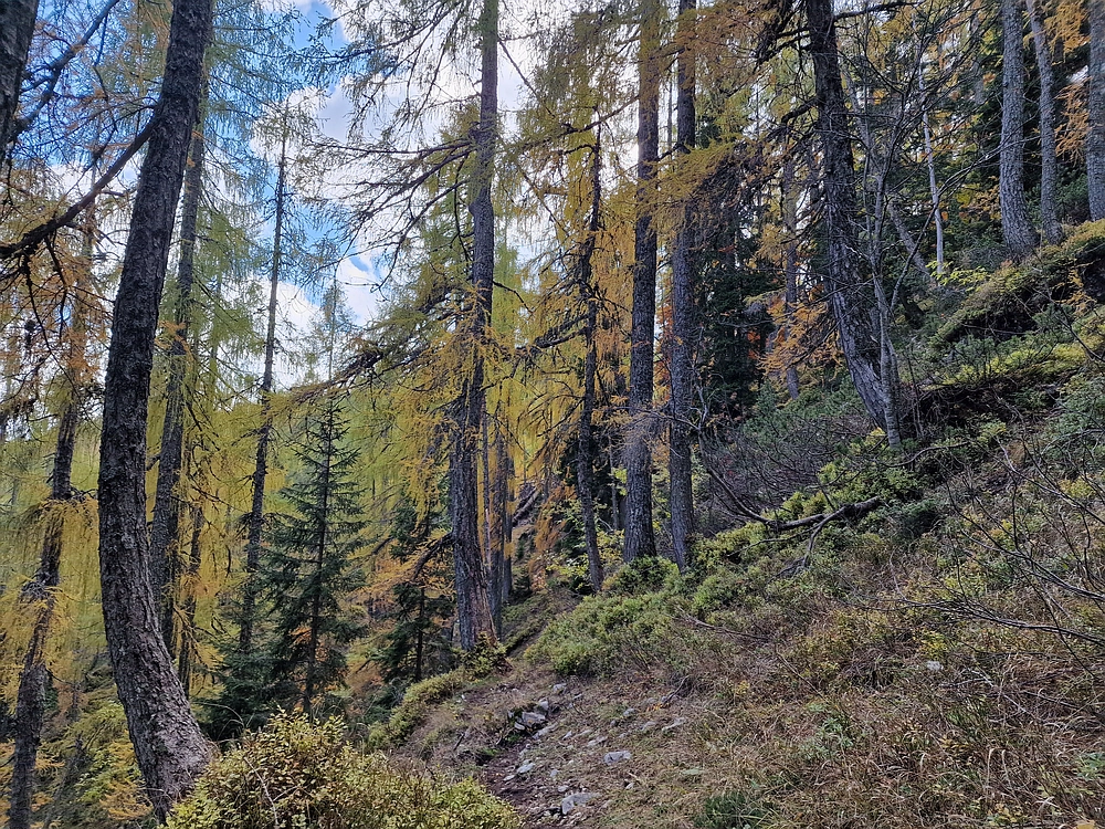 Križevnik, 18. 10. 2025