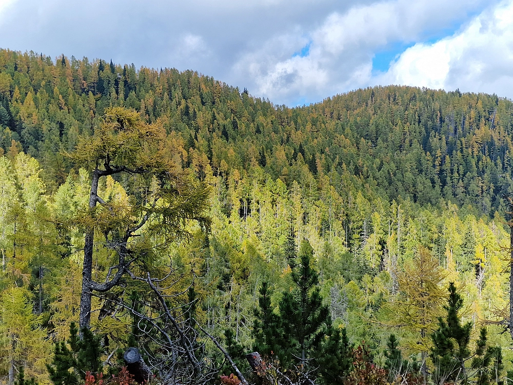 Križevnik, 18. 10. 2025