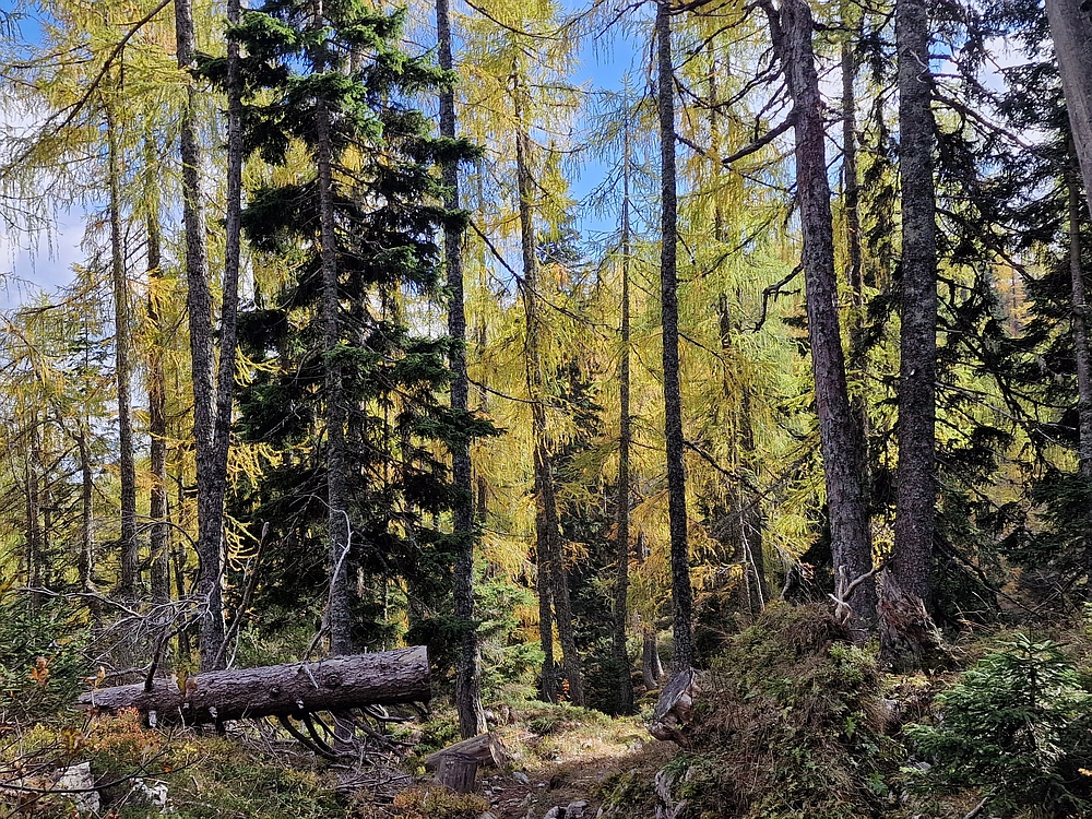 Križevnik, 18. 10. 2025