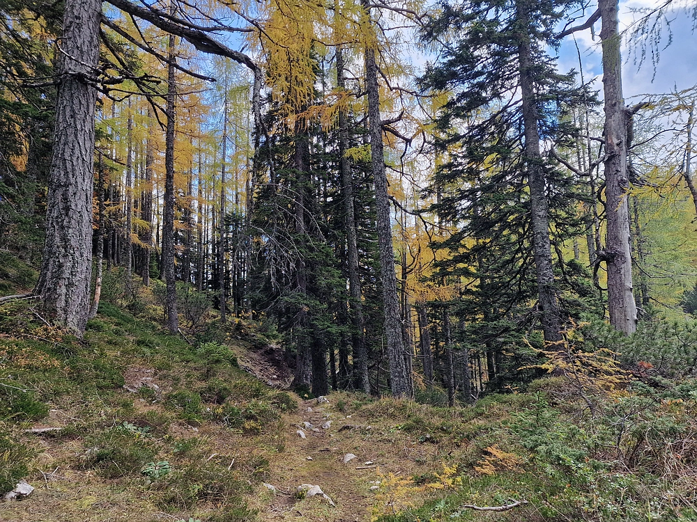 Križevnik, 18. 10. 2025