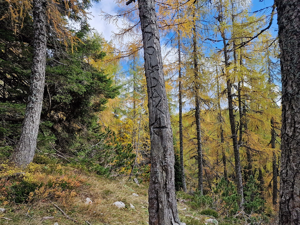 Križevnik, 18. 10. 2025