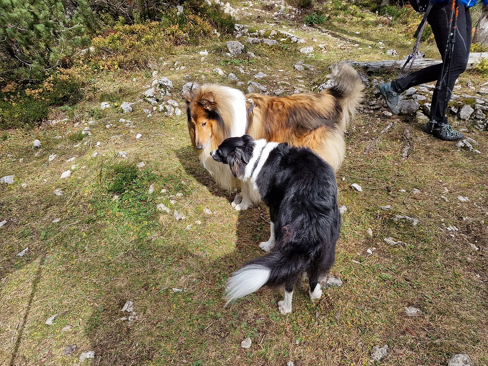 Križevnik, 18. 10. 2025